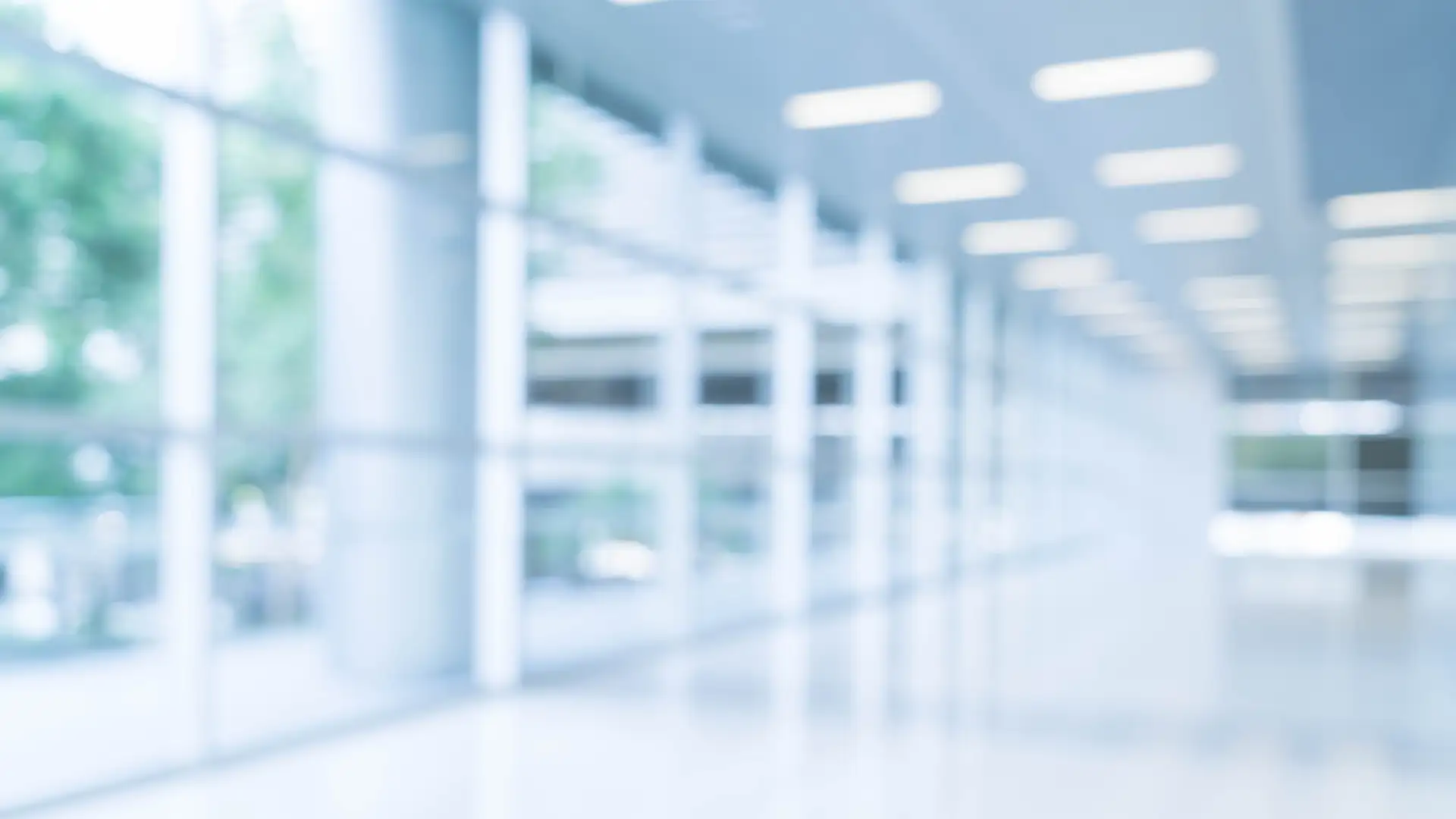 acervo-de-obras-de-arte-do-artista-tofolis