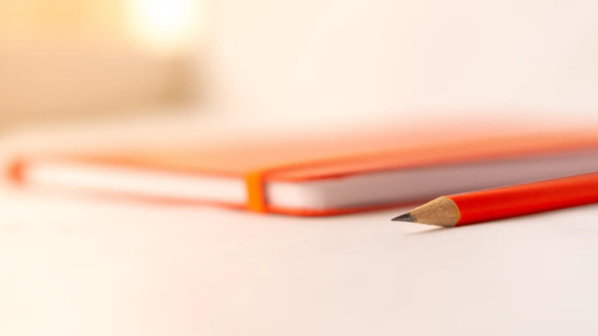 agenda-anual-de-exposicoes-do-artista-e-pintor-de-obras-de-arte-tofolis