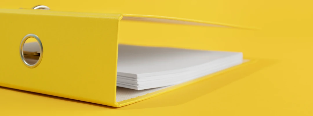 sejam-bem-vindos-biografia-do-artista-tofolis